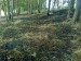 Požár lesa "Hrozný vrch" Nečín